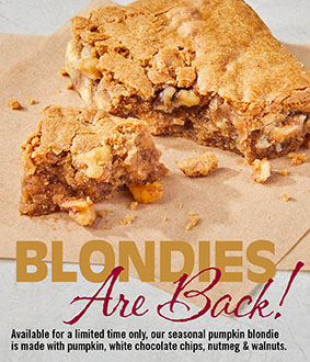 Pumpkin Blondies