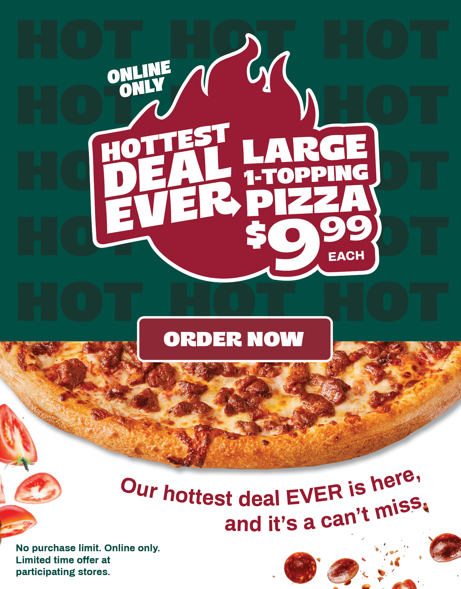 $9.99 Large Pizza